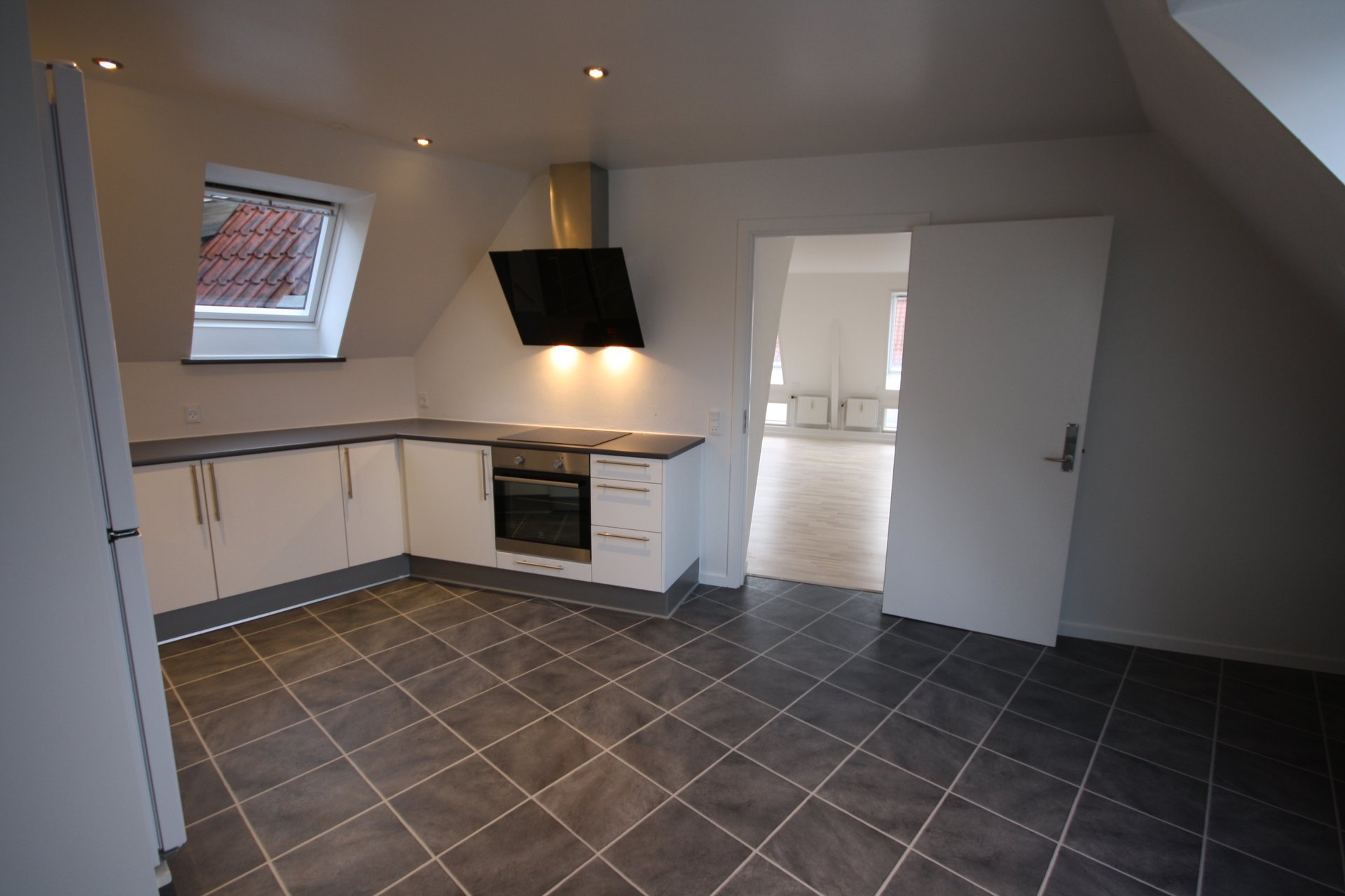 Lejlighed på 213 m2 i Viborg, Preislers Plads 